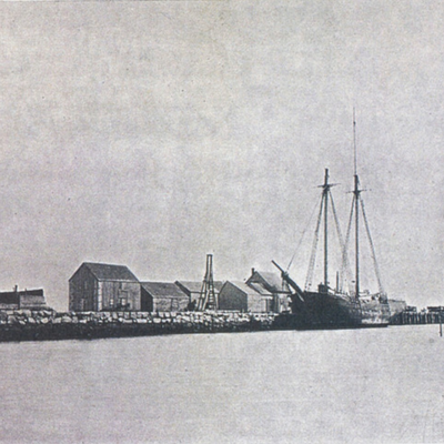lewis bay